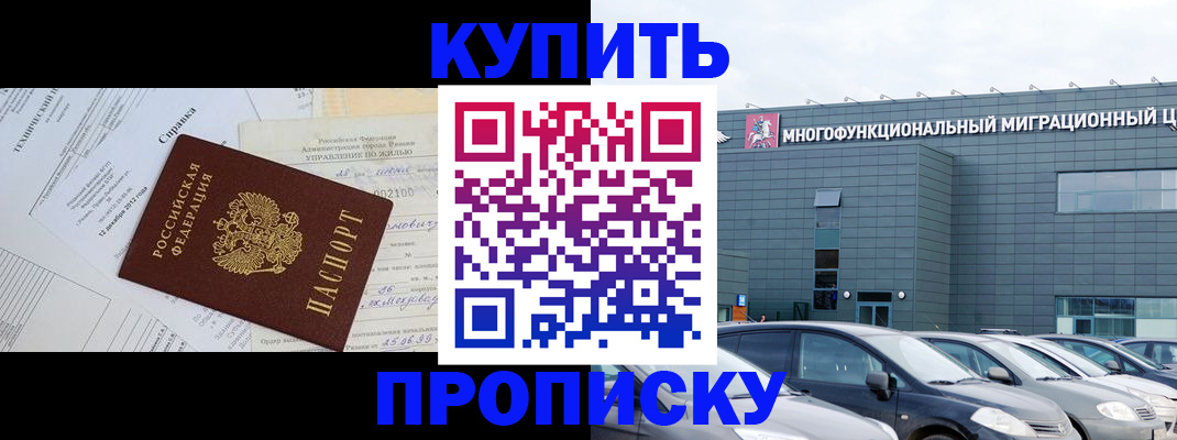 временная регистрация госуслуги в Опочке